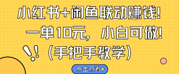 小红书+闲鱼联动挣钱，一单10元，小白可做-财阁