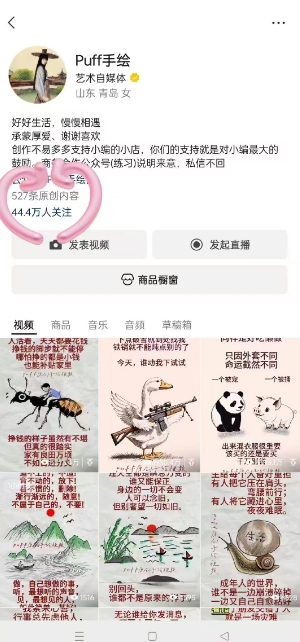 Puff手绘视频号分成项目，三天过分成计划，简单易上手，适合新手-财阁