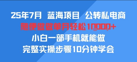 25年7月蓝海项目，公转私电商，随便做做单月轻松1w，小白一部手机就能做，完整实操步骤10分钟学会-财阁