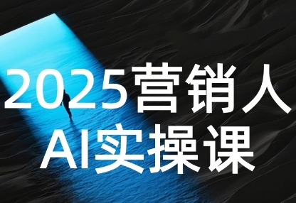 2025营销人Al实操课，AI营销抢跑实战，从Prompt到方案，效率碾压同行-财阁
