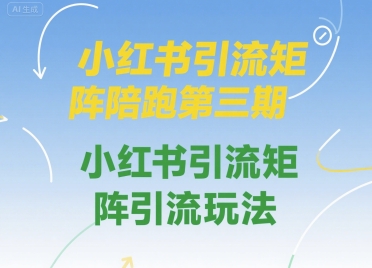 小红书引流矩阵陪跑第三期，小红书引流矩阵引流玩法-财阁