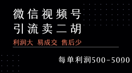 视频号卖二胡教程，利润大 易成交 售后少，一单利润5张+-财阁