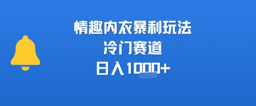 情趣内衣暴利玩法，冷门赛道，日入1k+-财阁