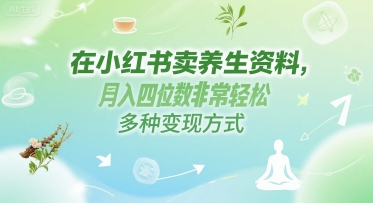 在小红书卖养生资料，月入四位数非常轻松，多种变现方式-财阁