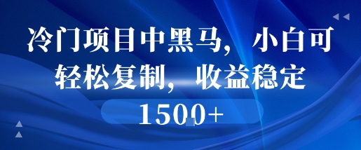 冷门项目中黑马，小白可轻松复制，收益稳定1.5k-财阁