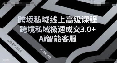 跨境私域线上高级课程，跨境私域极速成交3.0+Ai智能客服-财阁