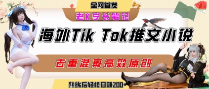 海外tiktok小说推文暴力项目，高停留率，高转化率，上手后一天搞顿饭钱不是问题-财阁