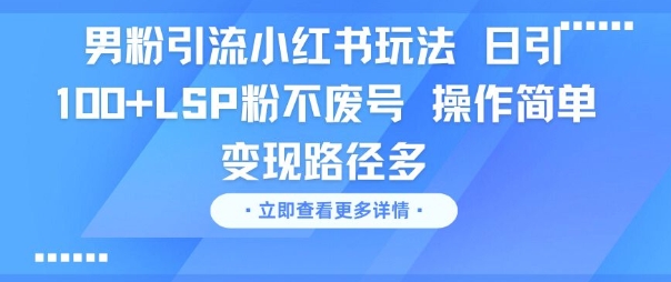 男粉引流小红书玩法，日引100+LSP粉不废号，操作简单，变现路径多-财阁