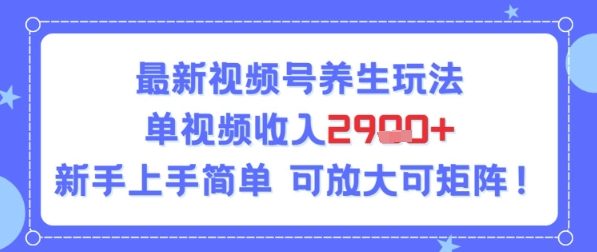 视频号养生玩法，单视频收入2.9k，新手上手简单-财阁