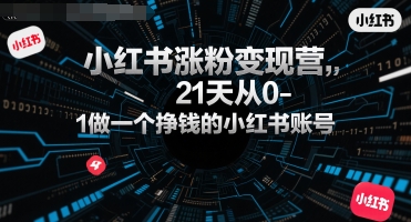 小红书涨粉变现营，21天从0-1做一个挣钱的小红书账号-财阁