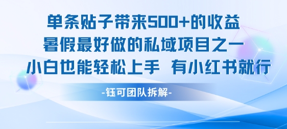 单条贴子带来5张的收益，暑假最好做的私域项目之一，小白也能轻松上手，有小红书就行-财阁