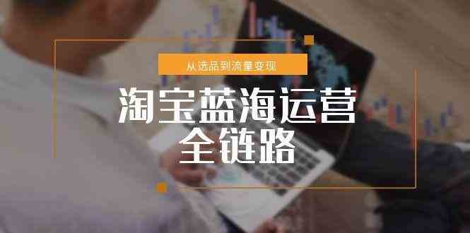 淘宝蓝海运营全链路，从选品到流量变现，小类目突围完整方案-财阁