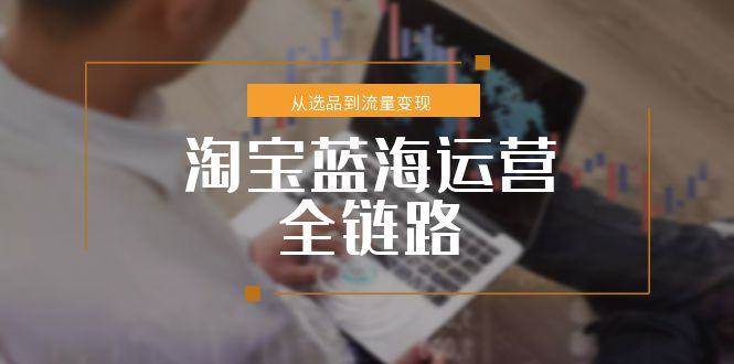 （15160期）淘宝蓝海运营全链路，从选品到流量变现，小类目突围完整方案-财阁