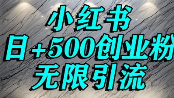 小红书无限引流创业粉，单人操作日引500+精准创业粉-财阁