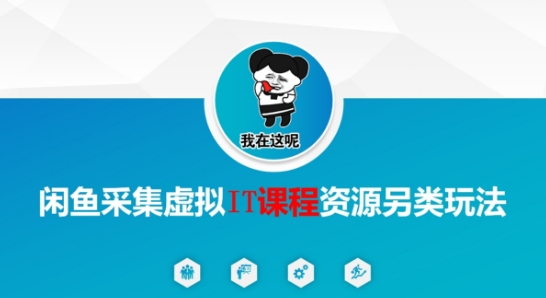 闲鱼采集虚拟IT课程资源另类玩法，干货满满-财阁