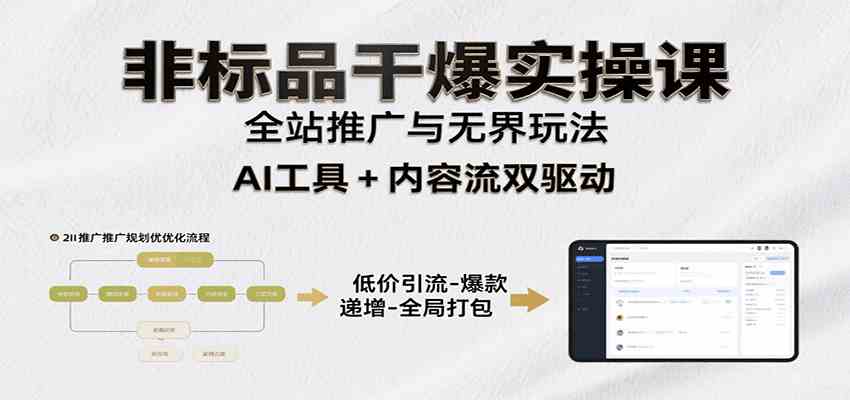 非标品干爆实操课：含多案例及操盘方法，从选品到推广、成交，助力打造爆款实现盈利-财阁