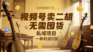 视频号卖二胡，无需囤货，私域项目，一单利润5张-财阁
