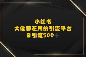 小红书，大佬都在用的大粉平台，日引流500+-财阁