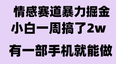 情感暴力掘金项目，新人操作一周挣了2W，长期稳定小白可做【揭秘】-财阁
