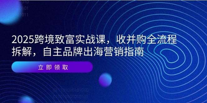 （14975期）2025跨境致富实战课，收并购全流程拆解，自主品牌出海营销指南-财阁