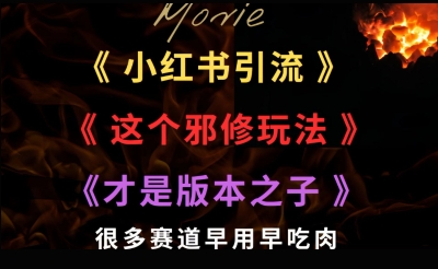 最近小红书引流这个邪修玩法才是版本之子，很多赛道早用早吃肉-财阁
