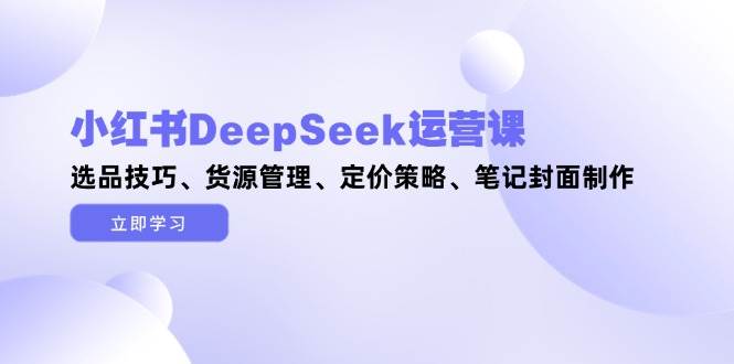 小红书DeepSeek运营课，选品技巧、货源管理、定价策略、笔记封面制作-财阁