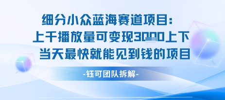 小众蓝海赛道项目：当天变现1k+适合新手操作 +适合长期玩-财阁