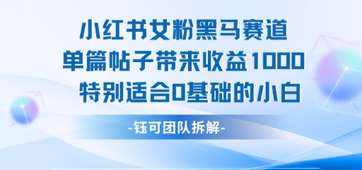 小红书女粉黑马赛道单篇帖子带来收益1k+，特别适合0基础的小白-财阁