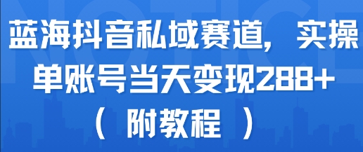 蓝海抖音私域赛道，实操单账号当天变现288+(附教程)-财阁