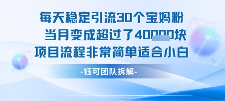 每天稳定引流30个人 当月变成超过了4个W项目流程非常简单适合小白-财阁