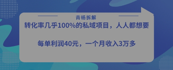 转化率最高的私域项目，每单利润40-50米，月入过1w-财阁