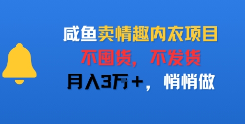 咸鱼卖情趣内衣项目，不囤货，不发货，月入3W+，悄悄做-财阁