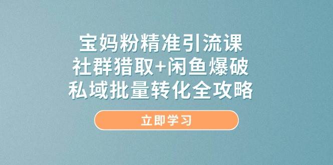 宝妈粉精准引流课，社群猎取+闲鱼爆破，私域批量转化全攻略-财阁