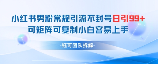 小红书男粉常规引流不封号日引99+变现简单 可矩阵可复制小白容易上手-财阁
