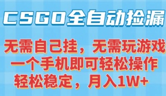 CSGO自动捡漏项目，最新独家玩法，一个手机可操作，新手小白轻松月入1W+，操作简单易上手【揭秘】-财阁