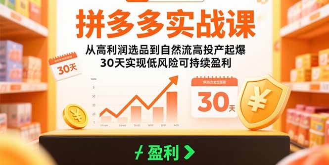 （15586期）拼多多实战课：从高利润选品到自然流高投产起爆 30天实现低风险可持续盈利-财阁