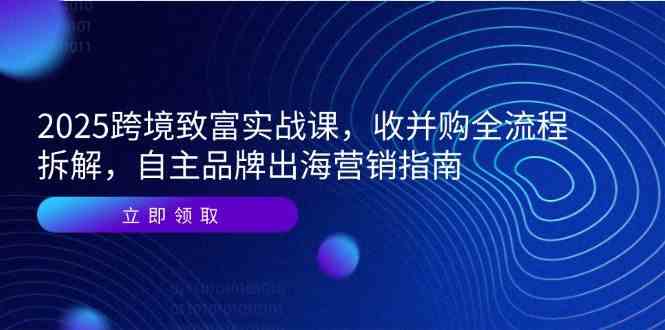 2025跨境致富实战课，收并购全流程拆解，自主品牌出海营销指南-财阁