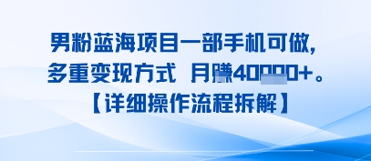 8月新男粉蓝海项目一部手机可做，多重变现方式 月入4W+【详细操作流程拆解】-财阁