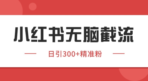 小红书截流同行客源，独家野路子获客玩法 日引200+暴力获客【揭秘】-财阁