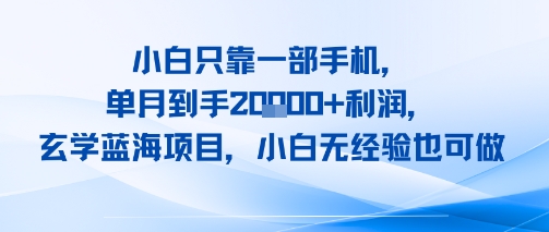 小白只靠一部手机，单月到手2W+利润，玄学蓝海项目，小白无经验也可做-财阁