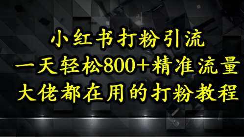 小红书打粉引流，一天轻松500+精准流量，大佬都在用的打粉教程-财阁