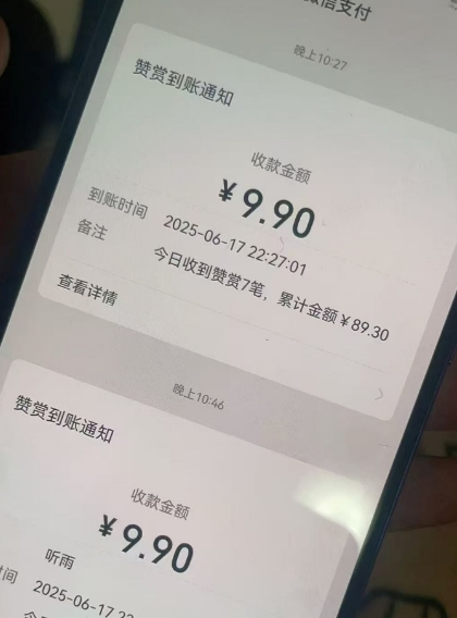 二次元男粉快速变现项目，私域卖虚拟产品，百分利润-财阁