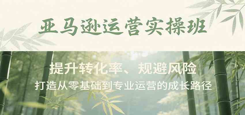 亚马逊运营实操班，提升转化率、规避风险，打造从零基础到专业运营的成长路径-财阁