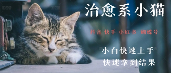 拆解，疯狂火爆！抖音，小红书，视频号小猫治愈的视频，轻松制作+快速拿到结果-财阁