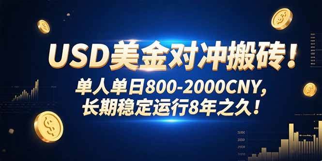 （15551期）USD美金对冲搬砖!单人单日800-2000CNY，长期稳定运行8年之久!-财阁