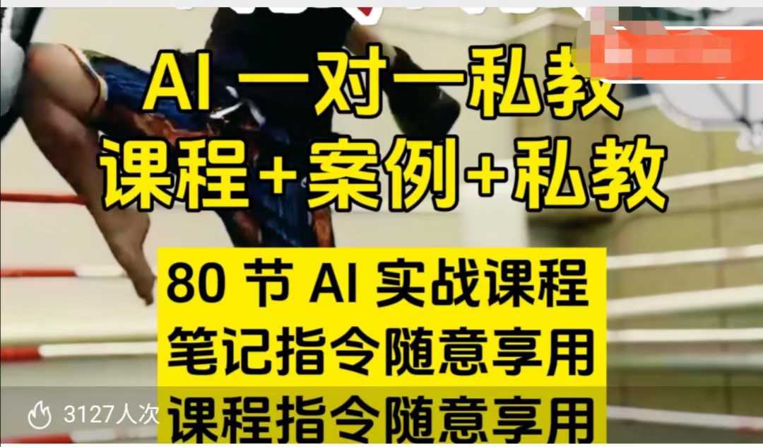 AI指令实战课，课程+案例，80节AI实战课程，笔记指令随意享用，课程指令随意享用（更新7月）-财阁