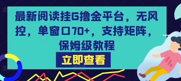 最新阅读挂G撸金平台，无风控，单窗口70+，支持矩阵，保姆级教程【揭秘】-财阁