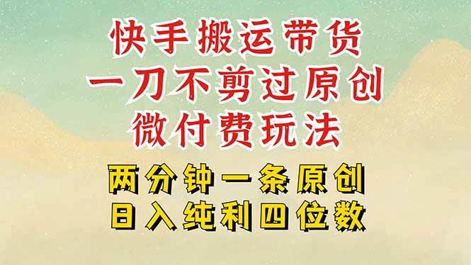 （15577期）快手黑科技搬运带货，一刀不剪过原创，微付费投流玩法，轻松日入四位数…-财阁