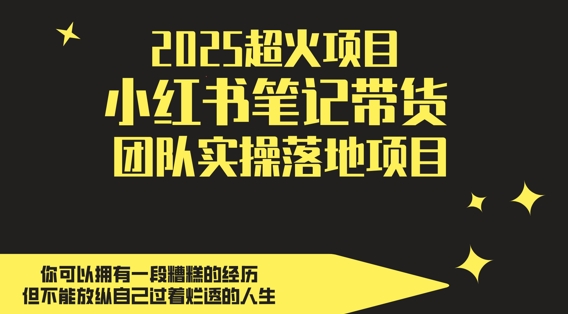 2025超火项目，副业最佳选择，小红书笔记带货团队实操落地项目，，轻松日入5张-财阁