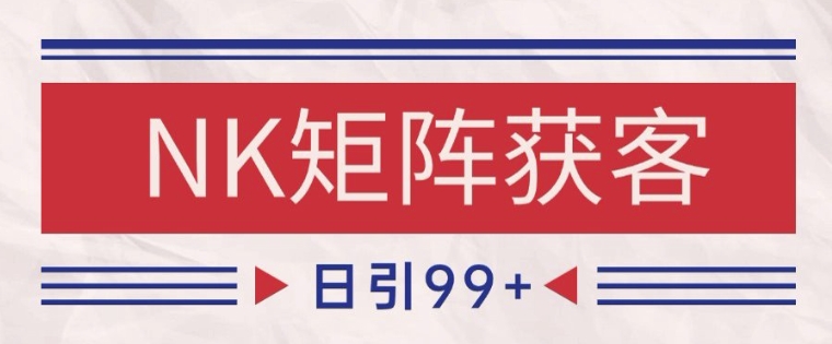 小红书某音NK赛道引流获客 自热矩阵日引200+【揭秘】-财阁